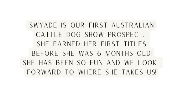 Swyade is our first Australian Cattle Dog Show Prospect she earned her first titles before she was 6 months old she has been so fun and we look forward to where she takes us