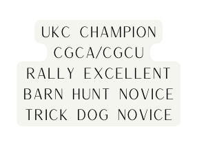 UKC champion CGCA CGCU Rally Excellent Barn Hunt novice trick dog novice