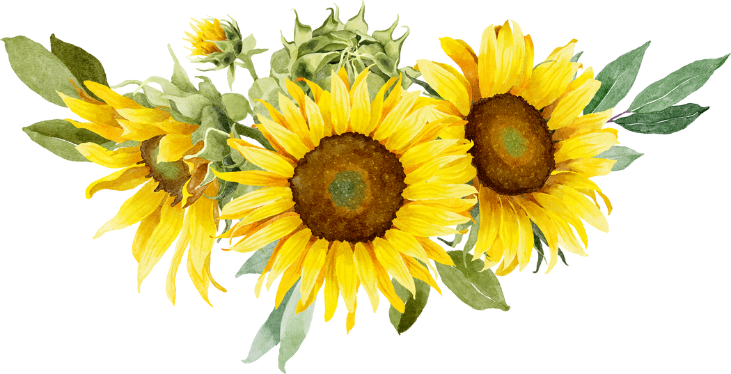 Sunflowers Bouquet in Watercolor Style