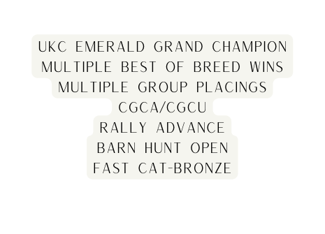 UKC Emerald Grand Champion Multiple Best of Breed Wins Multiple Group Placings CGCA CGCU Rally Advance Barn Hunt Open Fast Cat Bronze