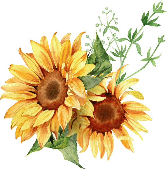 Watercolor sunflower arrangement