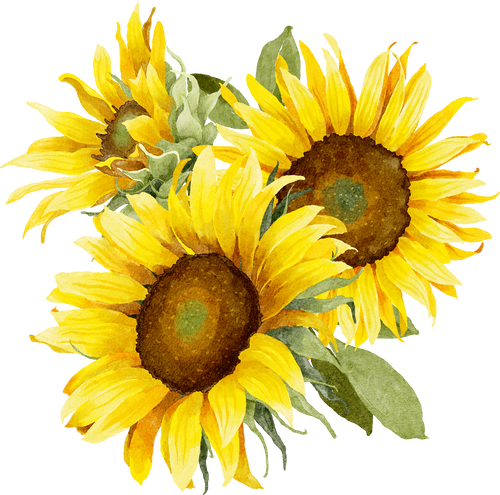 Sunflowers Bouquet