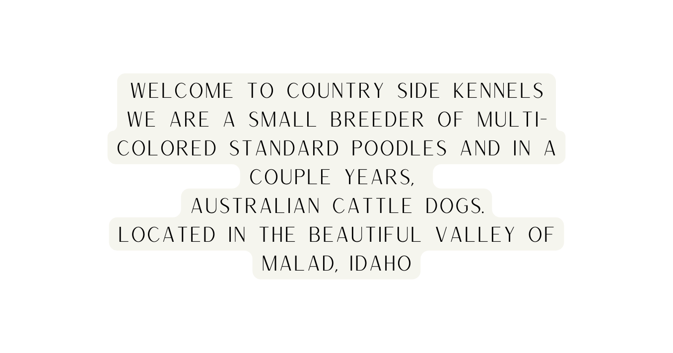 Welcome to Country Side Kennels We are a small breeder of multi colored Standard Poodles And in a couple years Australian Cattle Dogs located in the beautiful vALLEY OF mALAD iDAHO